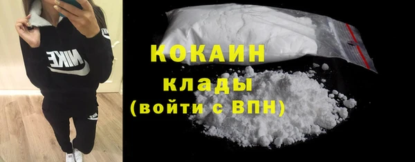 молекула духа Ельня