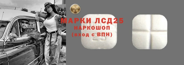 молекула духа Ельня