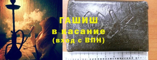 молекула духа Ельня