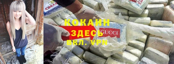 молекула духа Ельня