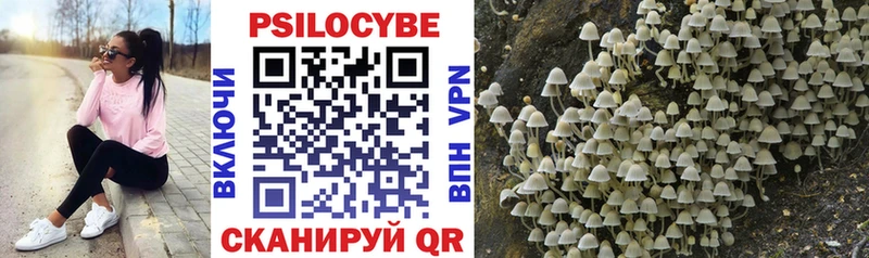 Псилоцибиновые грибы Magic Shrooms  Купить закладки  Лесозаводск 
